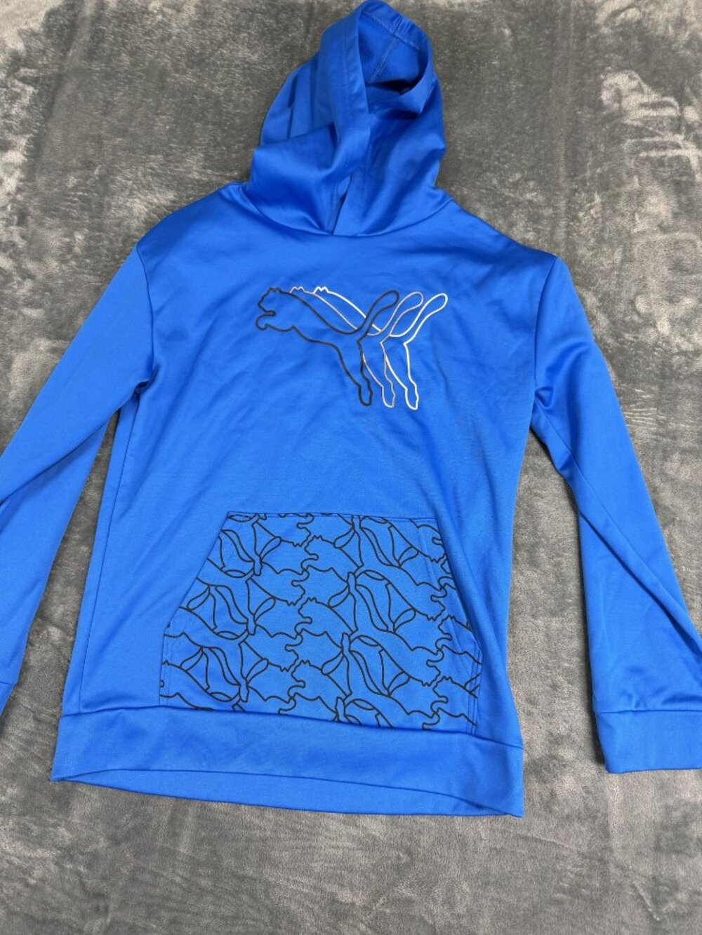 Puma Mens Blue Graphic Hoodie Kangaroo Pocket XL